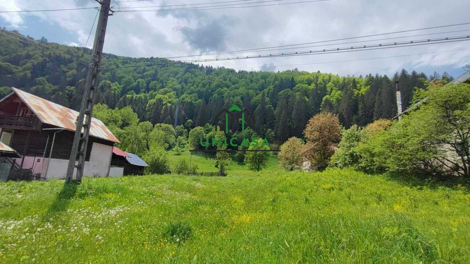 Teren Voineasa/Intravilan/5500 mp - Poză 3