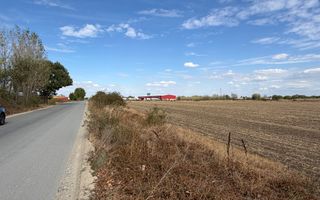 TEREN INTRAVILAN 4.750 MP | BORȘ | OPORTUNITATE DE INVESTIȚIE - Poză 2