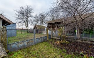 Casă + livadă tânără + curte 2.500 mp în Dorobanți - Poză 12