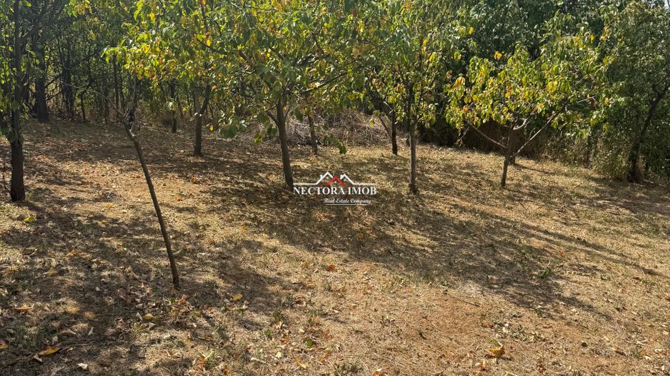 NECTORA IMOB-Casa cu etaj, mobilata, utilata, Episcopia, cu livada - Poză 5