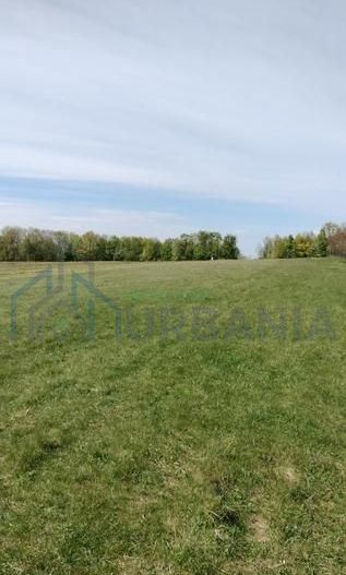 Teren extravilan 7.200 mp, Bordea - Grajduri, oportunitate investiție - Poză 6