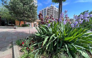 Apartament 3 camere premium Tatarasi Parcul Ciurchi - Poză 15