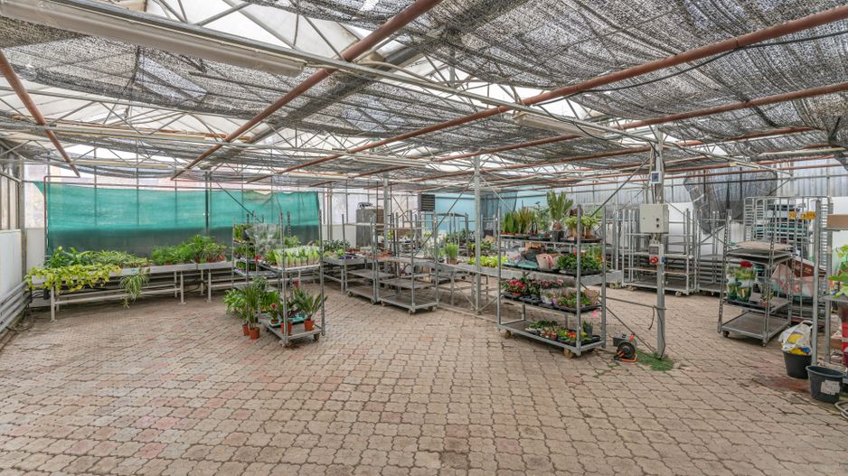 CASA BARTOLOMEU- sediu firma/ comercial/ servicii- zona circulata - Poză 9