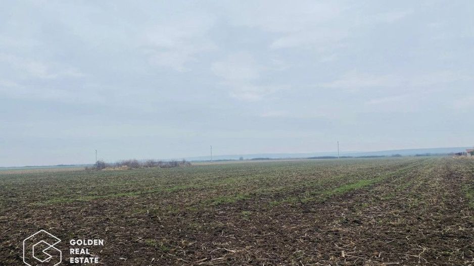 Teren, Intrare Recas, Drumul E70 - Poză 2