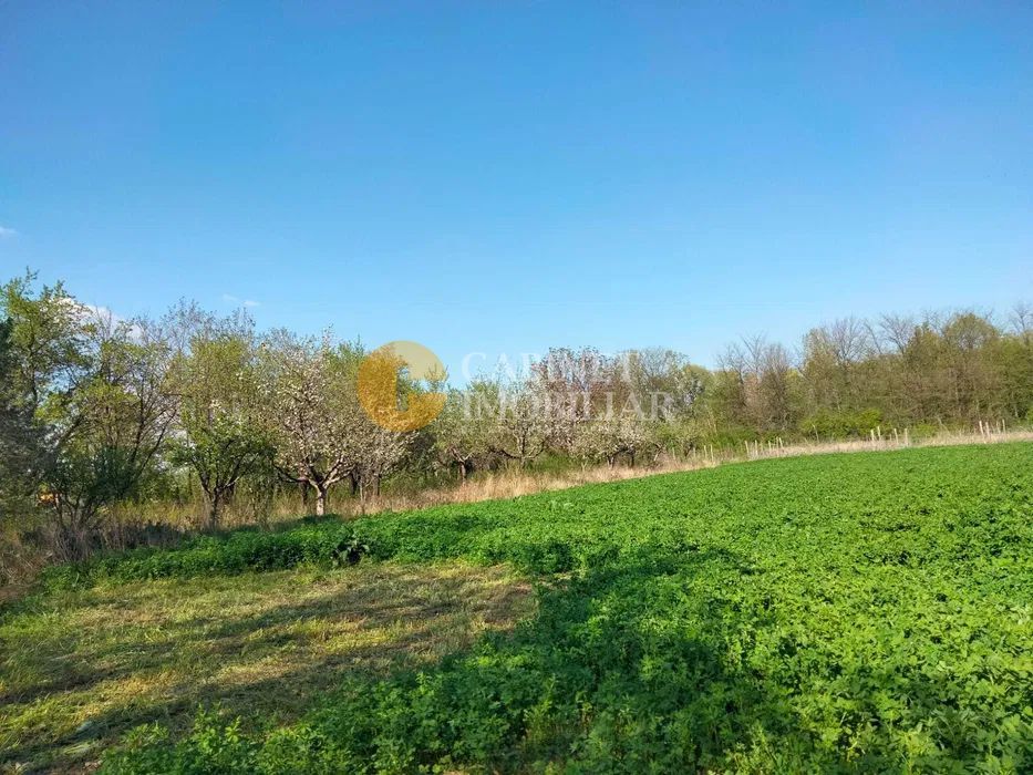 🏡 Casă cu livadă sat Prisăcani  - Teren 4500 mp - Poză 4