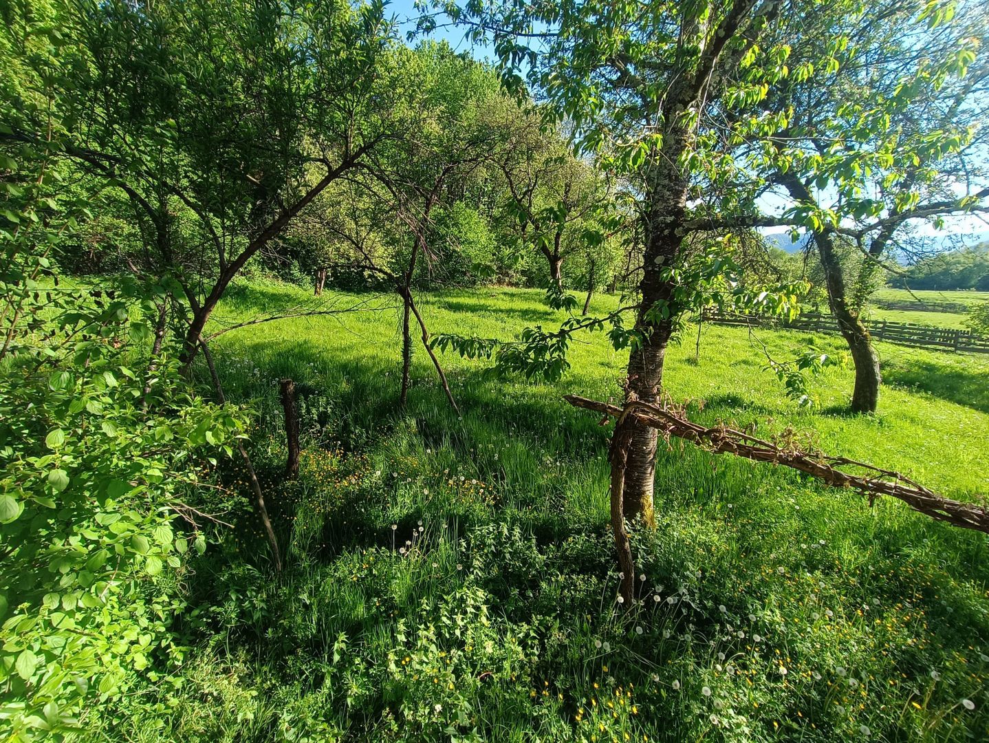 Descoperă căsuța ta de vis la poalele Munților Apuseni - Poză 12