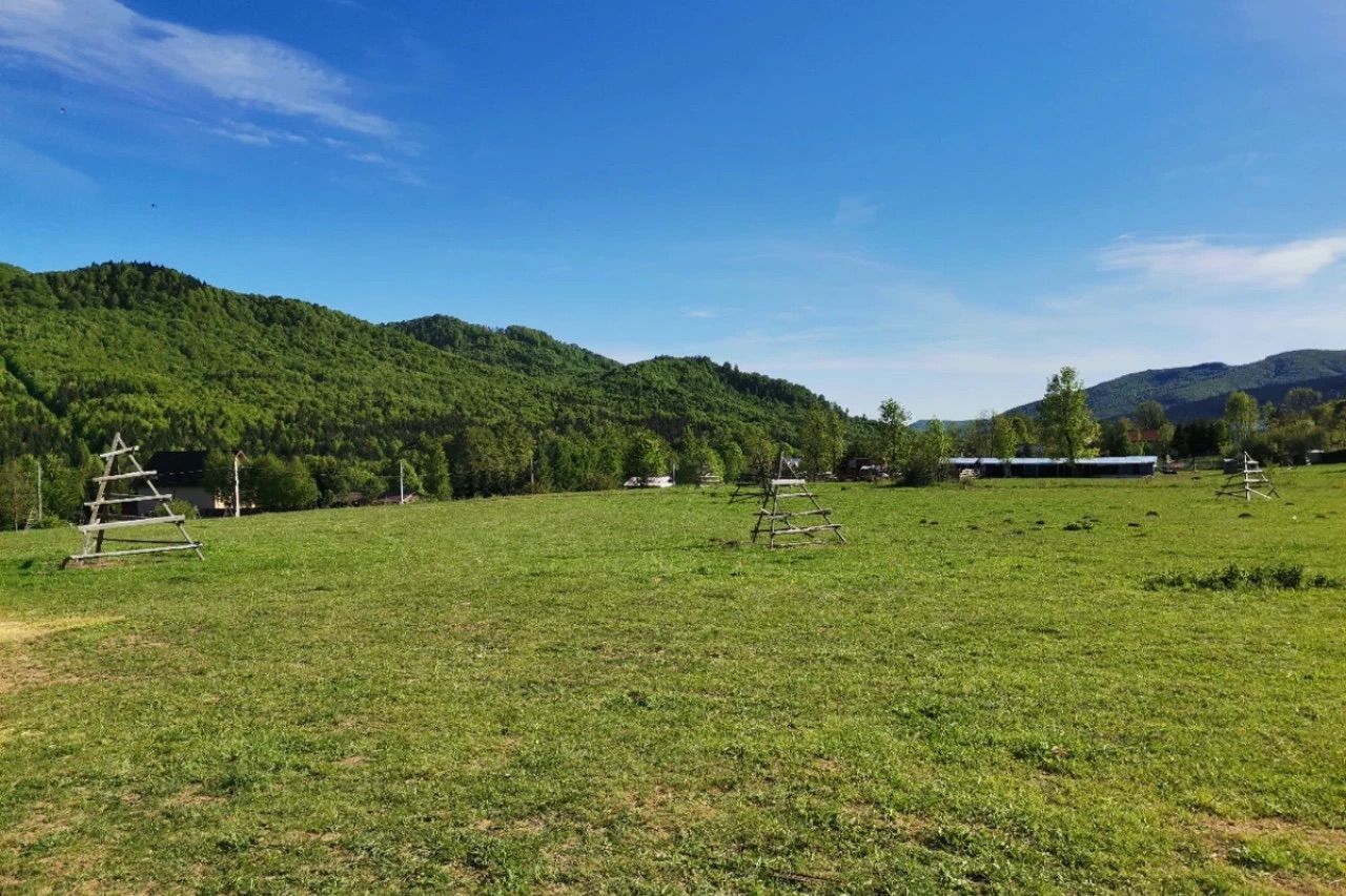 TEREN | 4.000 mp (2 loturi) | Valea Doftanei | ATRA DOFTANA - Poză 3