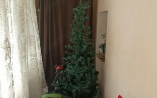 Apartament decomandat 38 mp, zona Bucium-Vișan, Iași – 68.000 EUR - Poză 9