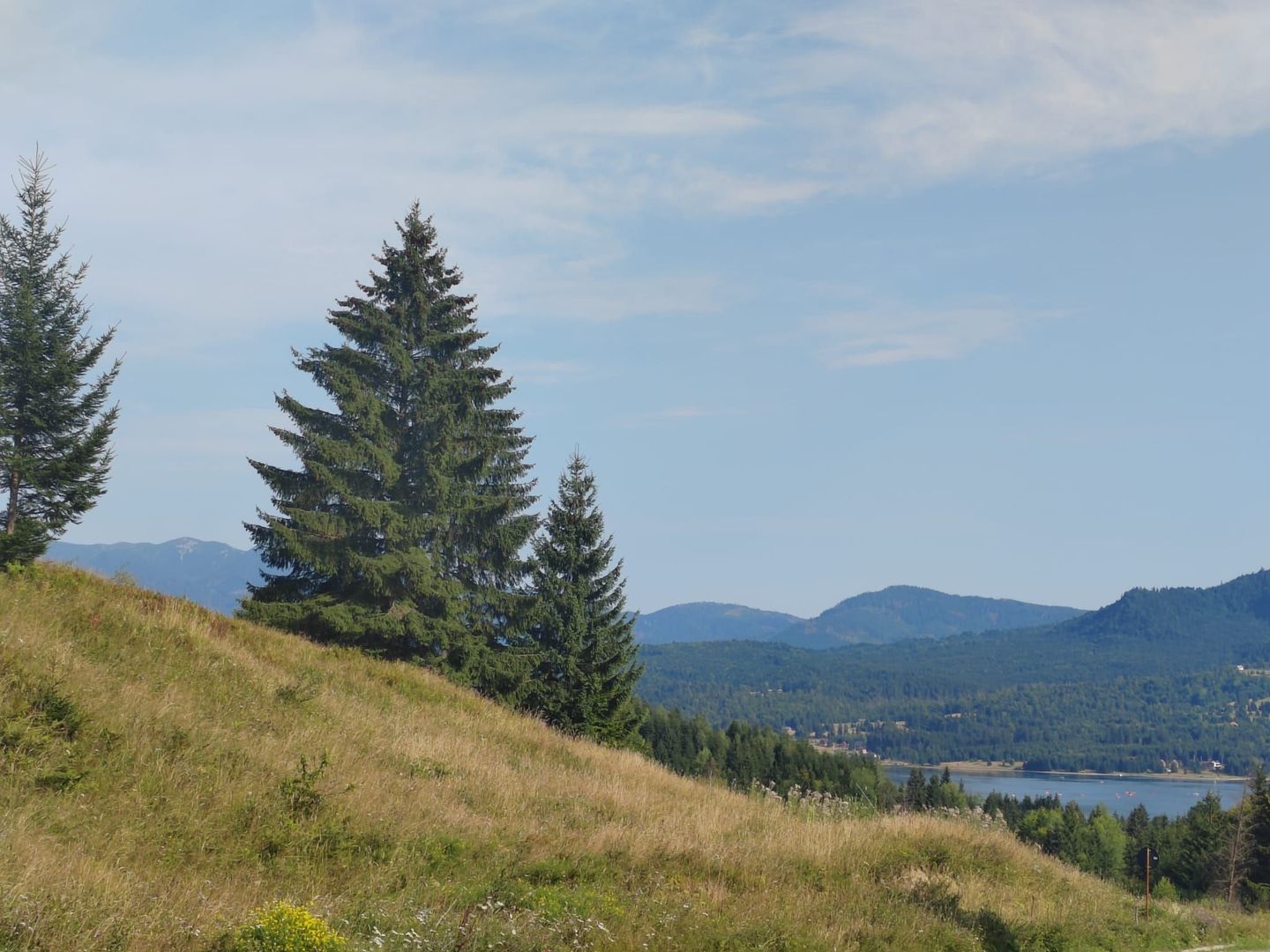 teren Colibita - 2 hectare - acces direct din drumul 173 D - Poză 1