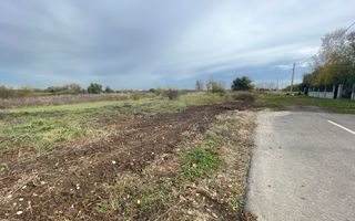 TEREN DUMBRAVITA 602 MP-FRONT 24 ML - Poză 1