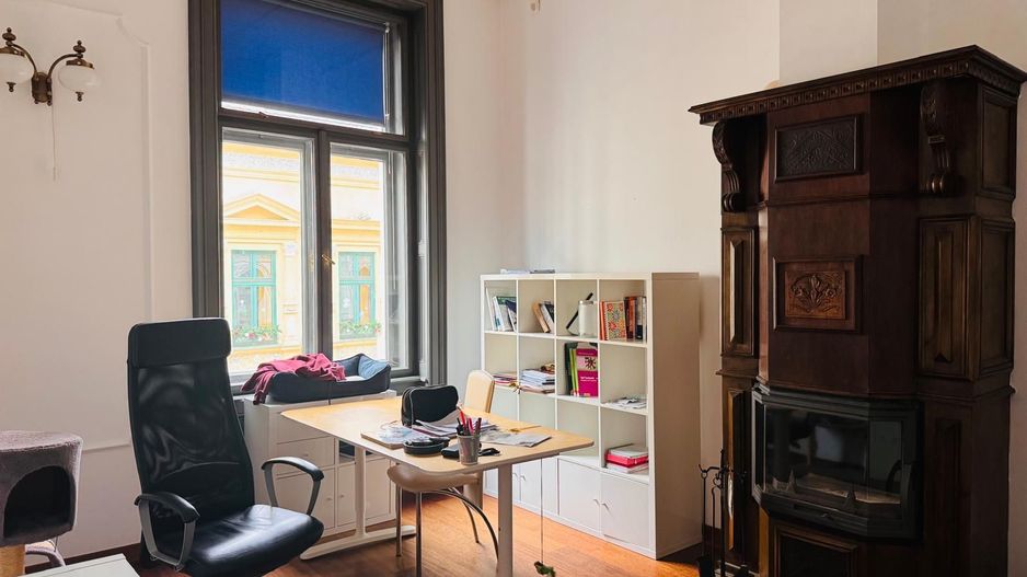 Apartament Deosebit in Piata Unirii - Poză 5