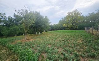 🏞️ Teren intravilan, cu priveliște – Vălenii de Munte - Poză 2