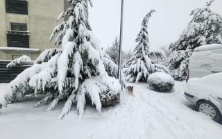 COM 0% I Apartament 3 camere Baneasa - Iancu Nicolae  Natura Residence - Poză 5