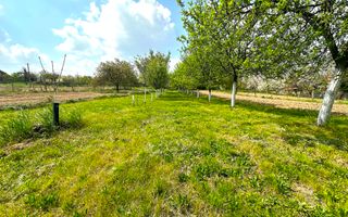 Teren Intravilan de Vânzare, Cetariu, 5450mp - Poză 2