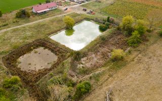 Teren intravilan cu iazuri și casă - Chișineu-Criș - Poză 28