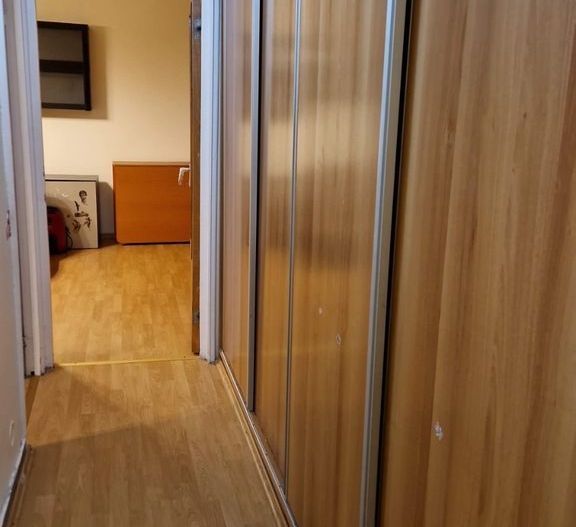 Închiriere 2 camere langa parc, zona linistita, luminos, mobilat complet - Poză 4