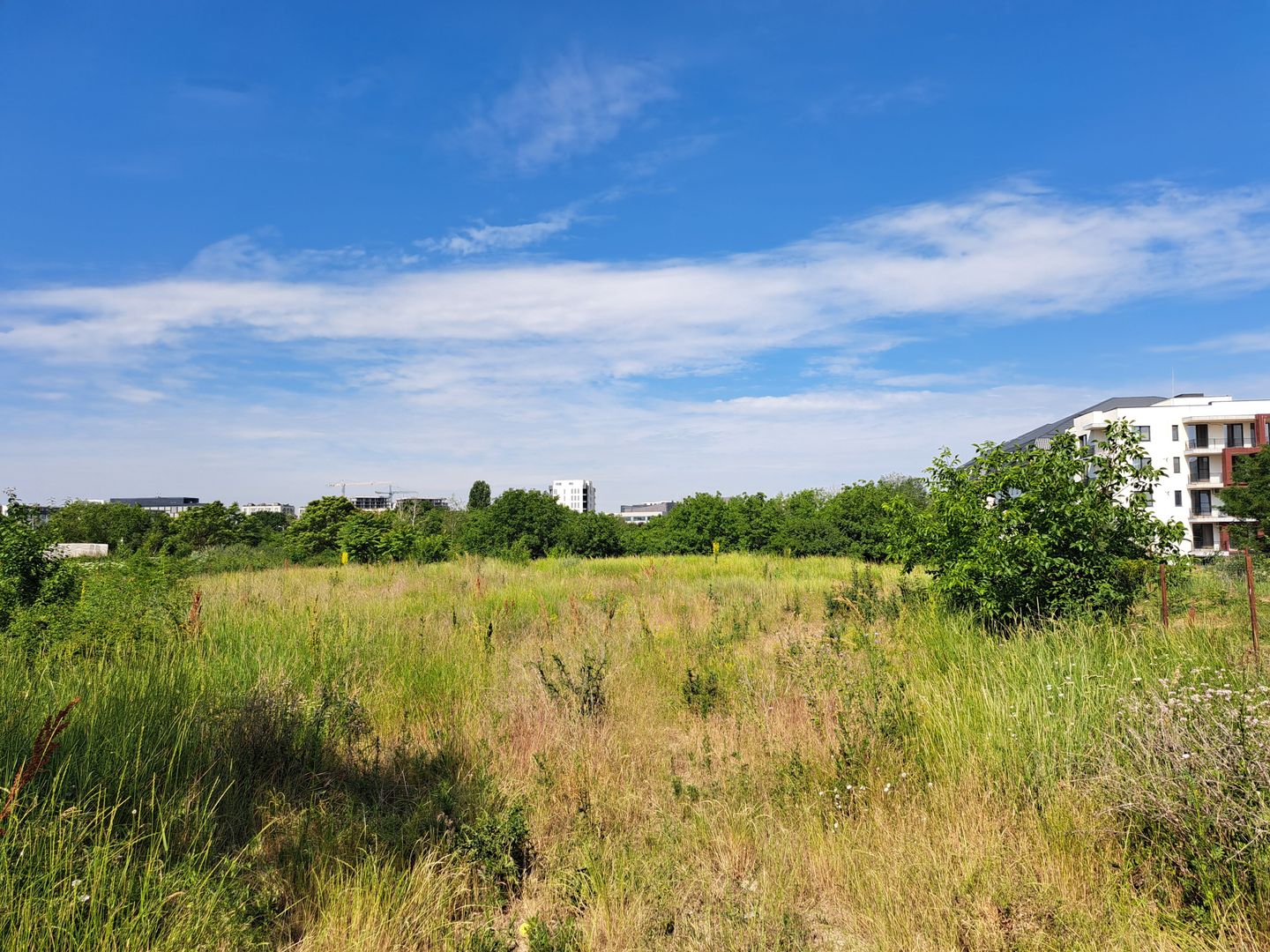 Teren intravilan 1907 mp - Aviatiei - Poză 1