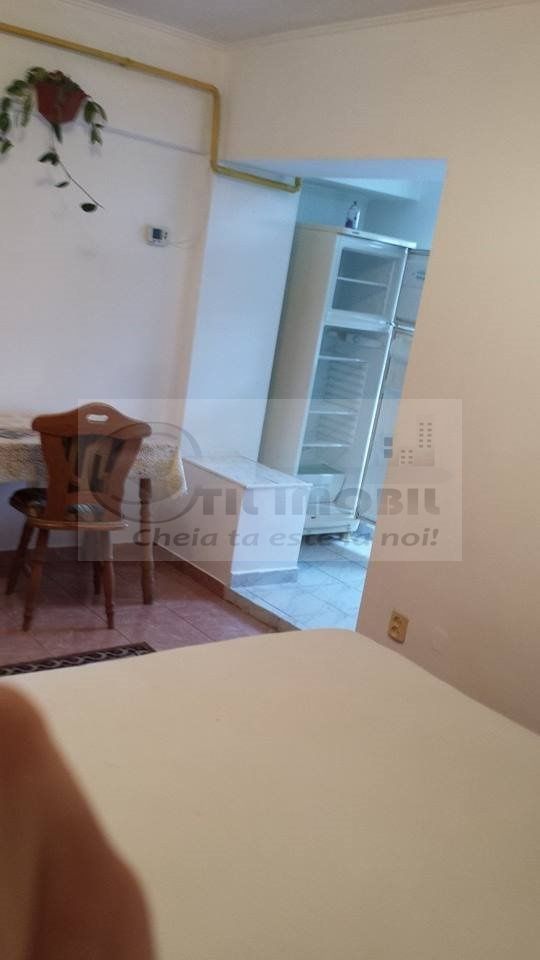 Apartament 1 camera Hala Centrala- 350 euro - Poză 1
