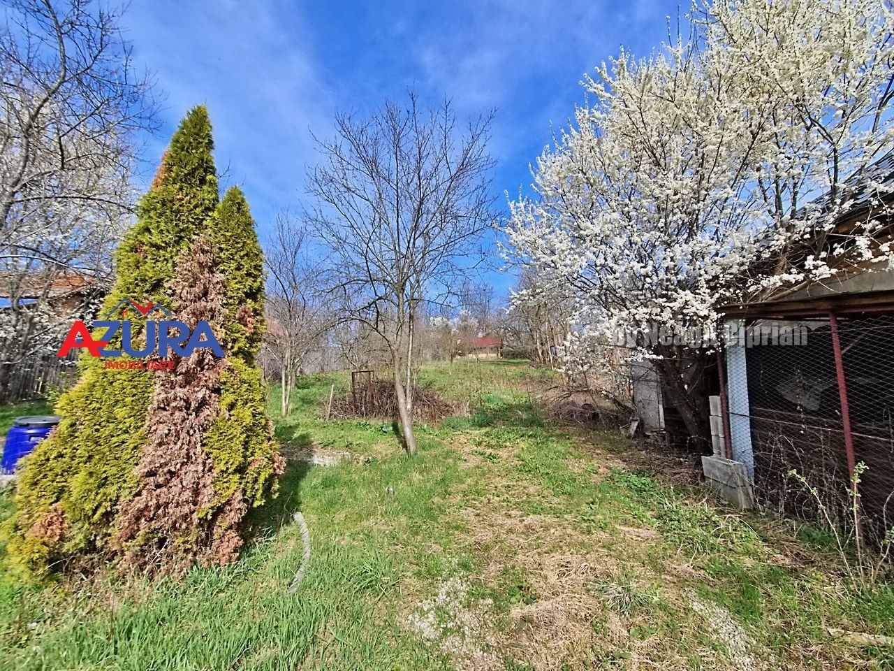 AZURA Imobiliare - Teren Budeasa Galasesti - Poză 7