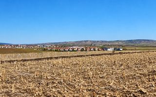 TEREN INTRAVILAN PENTRU CONSTRUCȚIE CASĂ | ȘURA MICĂ | PUZ APROBAT - Poză 5