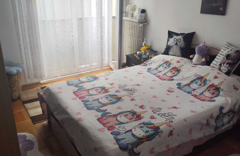 Apartament 3 camere zona Parc IOR - Camil Ressu - Poză 2