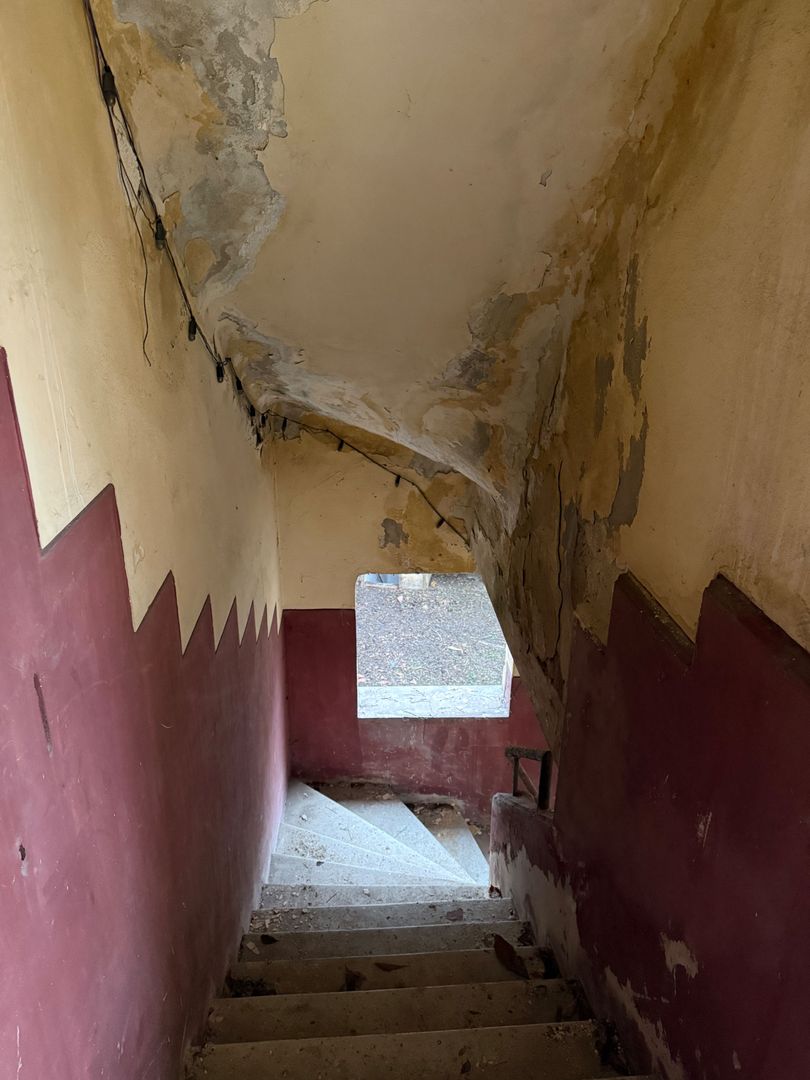 VILA INDIVIDUALA CISMIGIU | INTR. TEMISANA - Poză 16