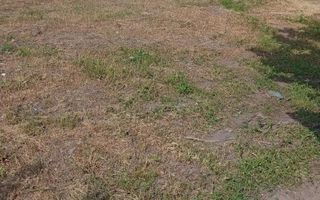 Casă de închiriat pe termen lung în Măcărești, 3 camere, curte 0.5 ha - Poză 8