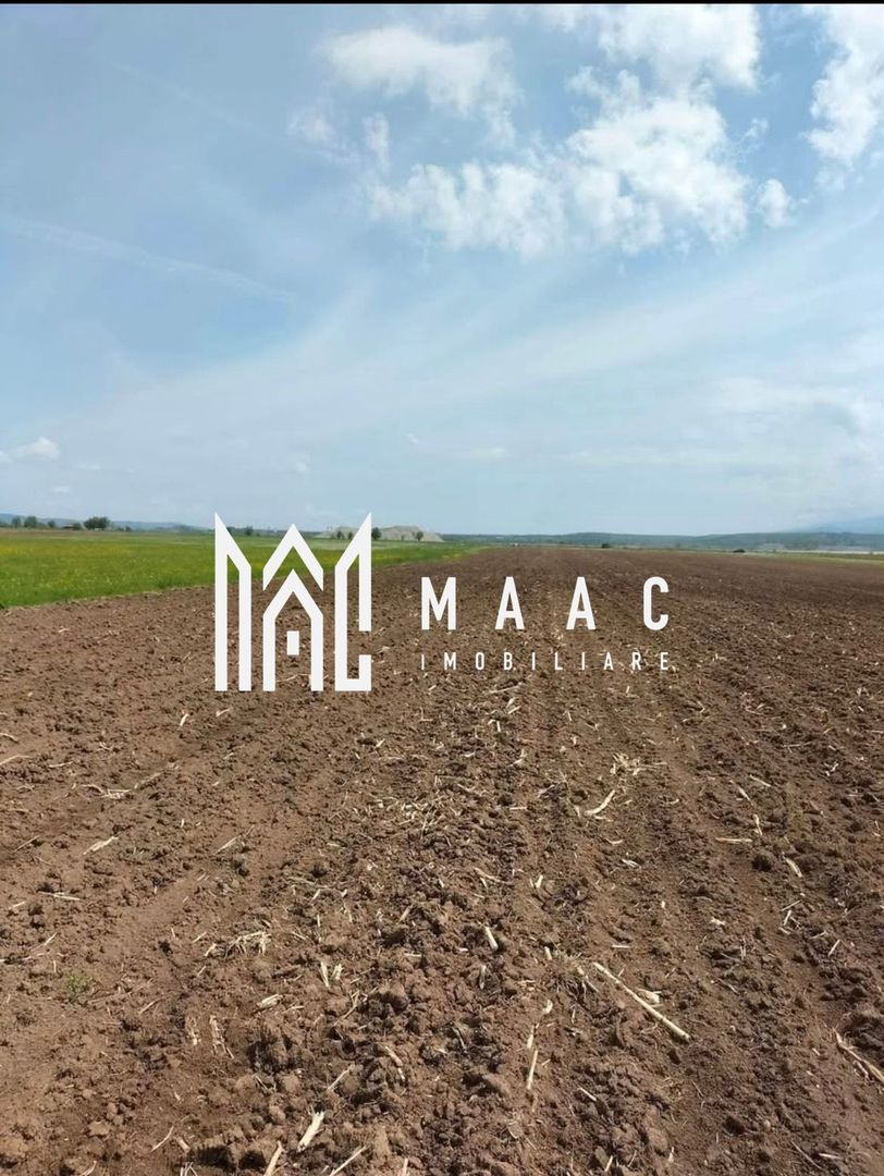 Teren | Extravilan | Oportunitate Investiție | 10 000 MP | Bradu - Poză 1