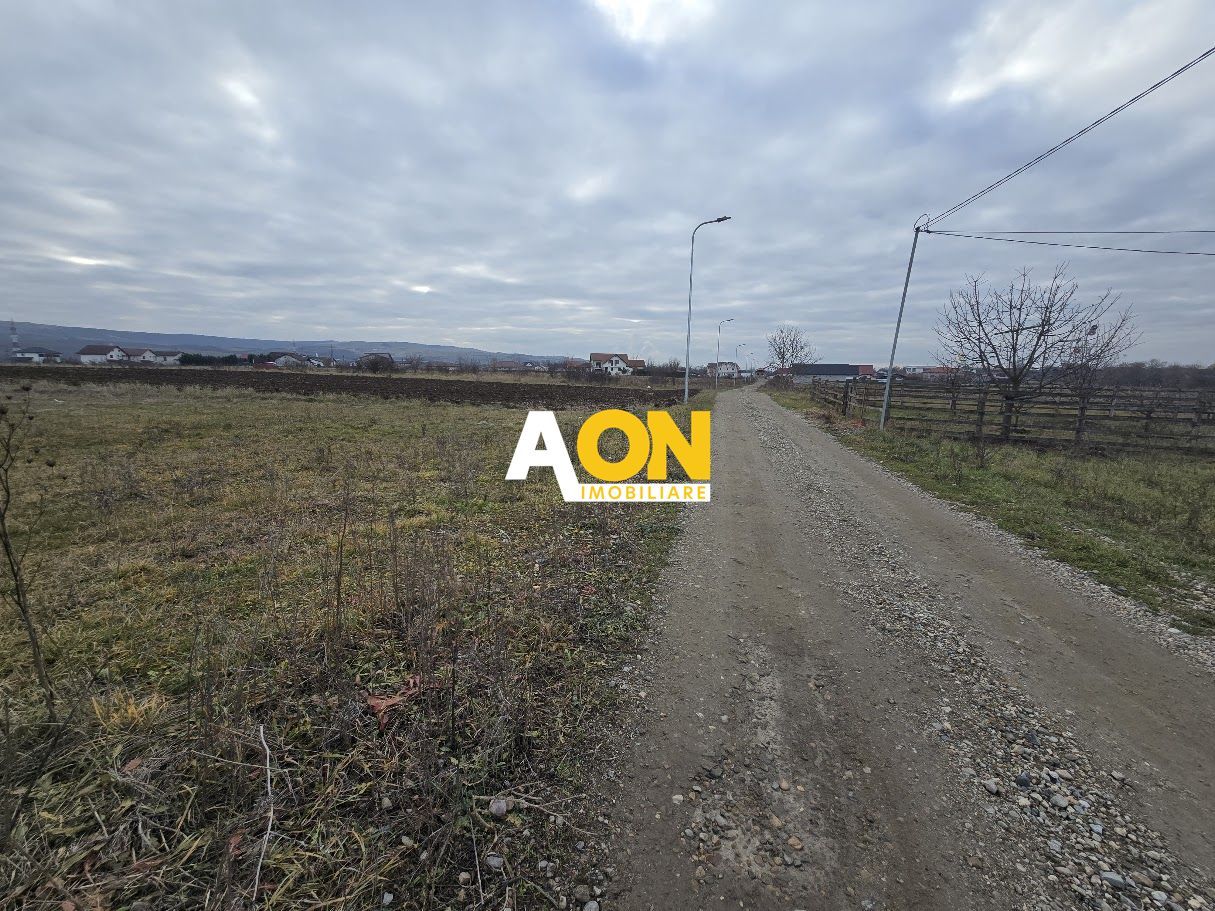 Teren Intravilan 10.000MP Zona Partos - Poză 3