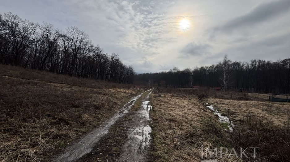 De vânzare două parcele de 3752 mp împreună- zona Făget - Poză 4