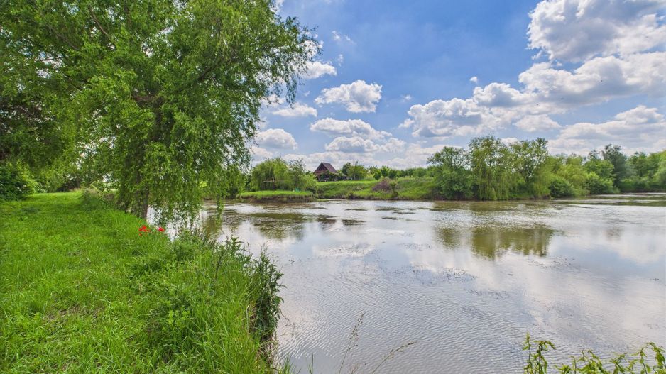 Teren cu baltă- oportunități multiple la Fibiș - Poză 28