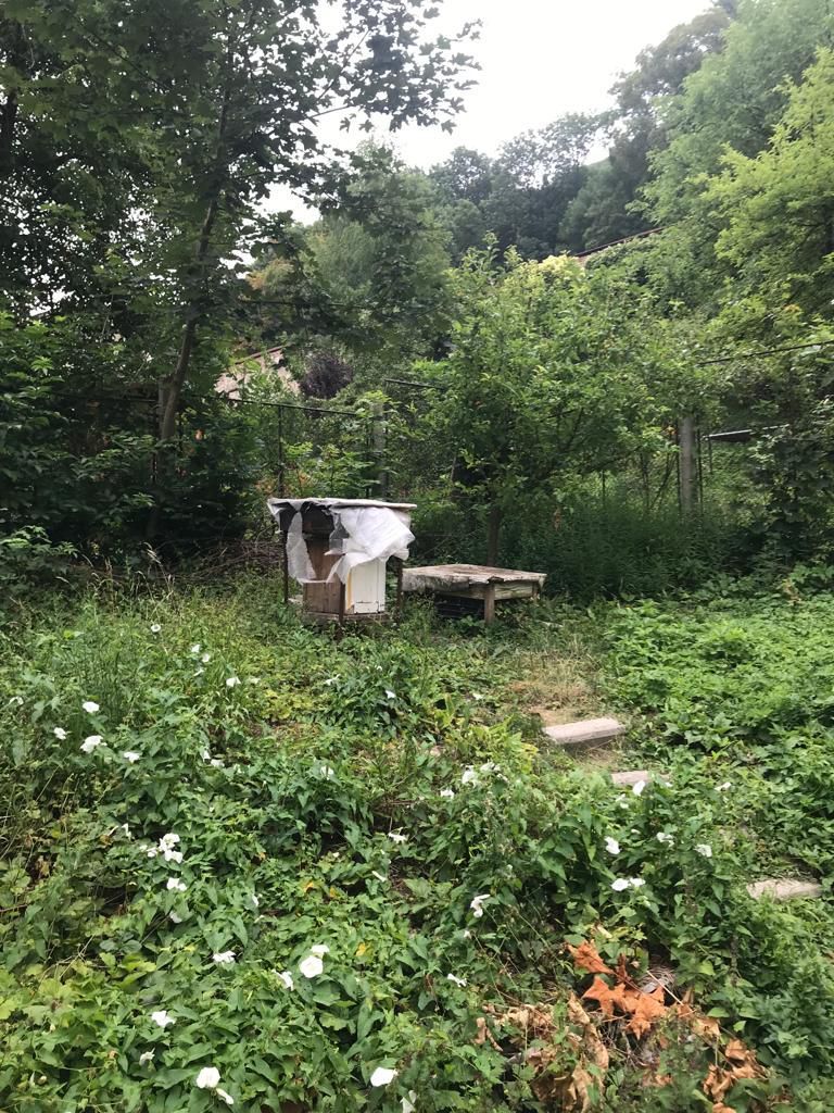 Vanzare garsoniera situata in centrul istoric - Poză 3