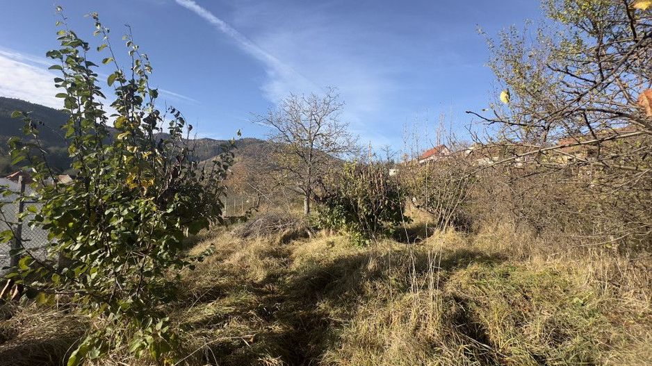 Casa individuala - Sat Vale, Saliste - Poză 7