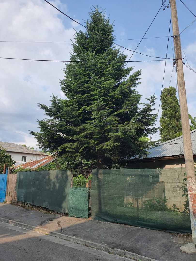 Teren intravilan 190 mp curti constructii - Lac Plumbuita - Poză 1