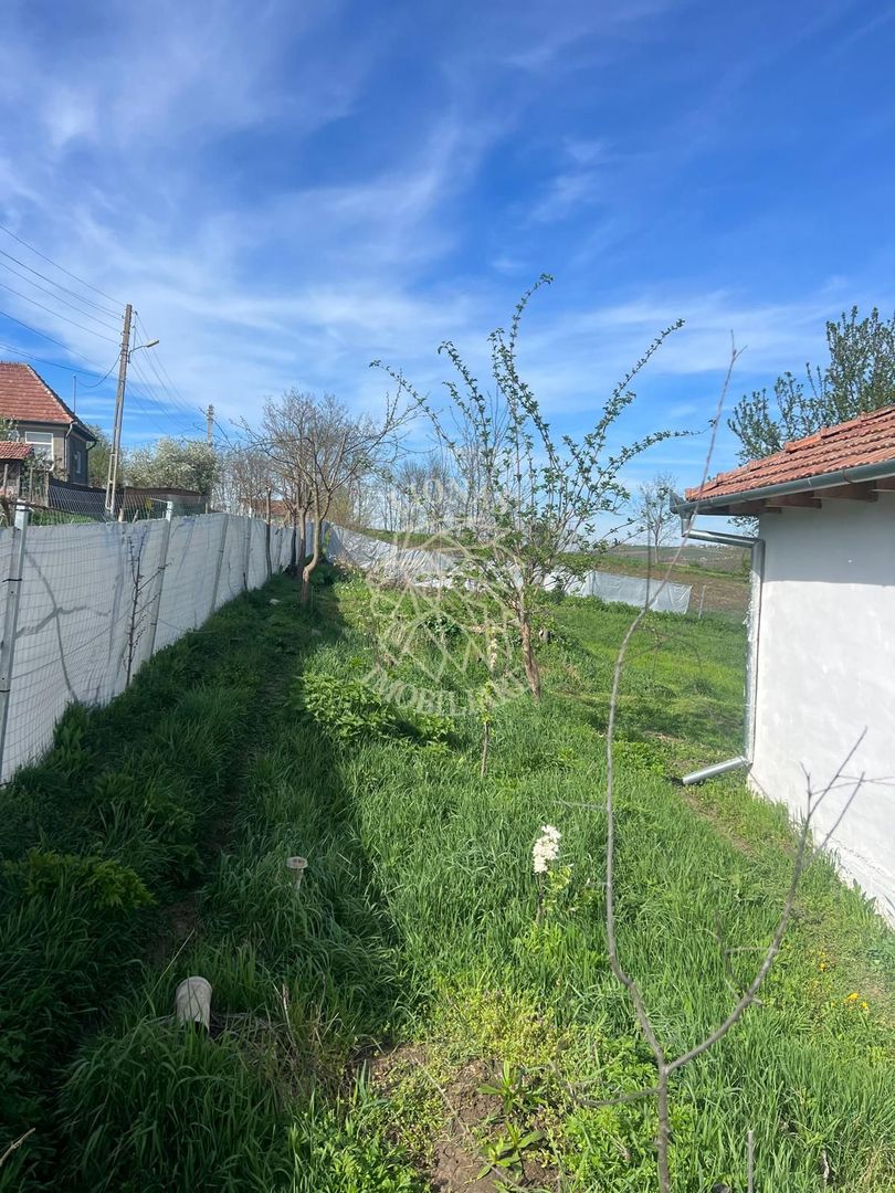 Casă ecologică 113 mp utili cu utilitati  + Teren 3100 mp, Balda, județul Mures - Poză 14