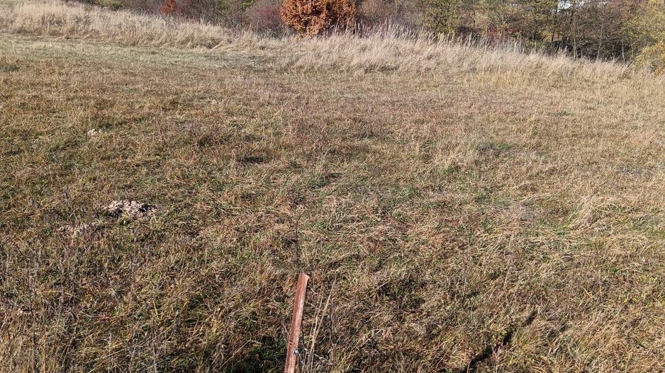 Teren langa Padure Dragomirna 40 Ari ISuceava/Dragomirna I 63.000Euro - Poză 7