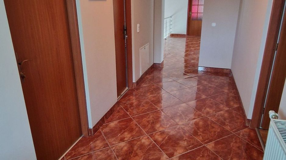 Vand casă  350 mp cu teren 55 arii in localitatea Iojib - Poză 7