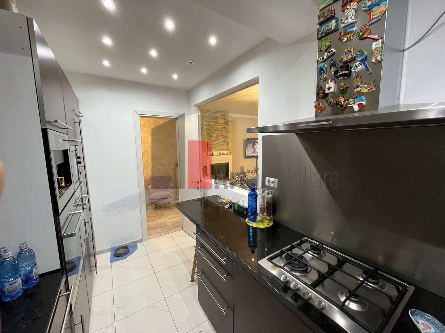 Vila "FUNTZIO", zona Domenii-Grivita, teren 410 mp, multifunctionala - Poză 9