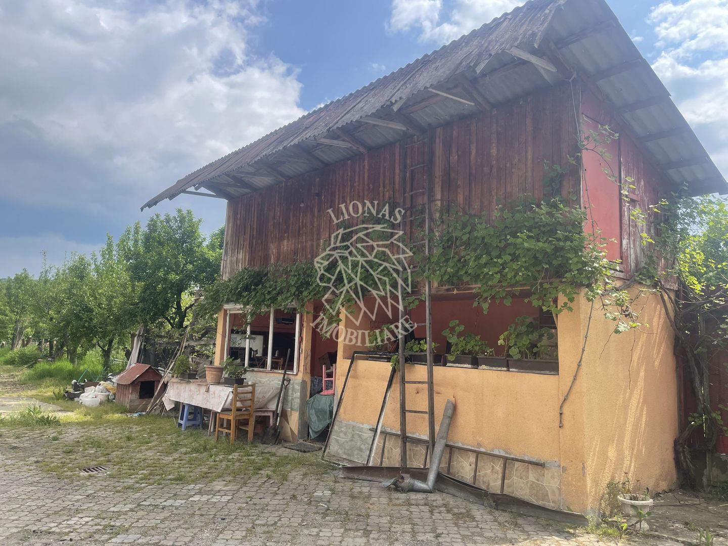 Casa 354 mp utili-teren 2200 mp-ideal business-anexa-Viisoara - Poză 3