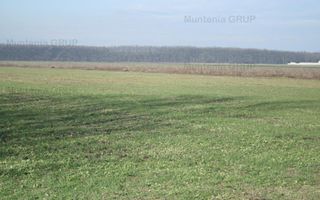 AFUMATI - Tarla 9, teren agricol in suprafata de 35.000 mp. - Poză 2