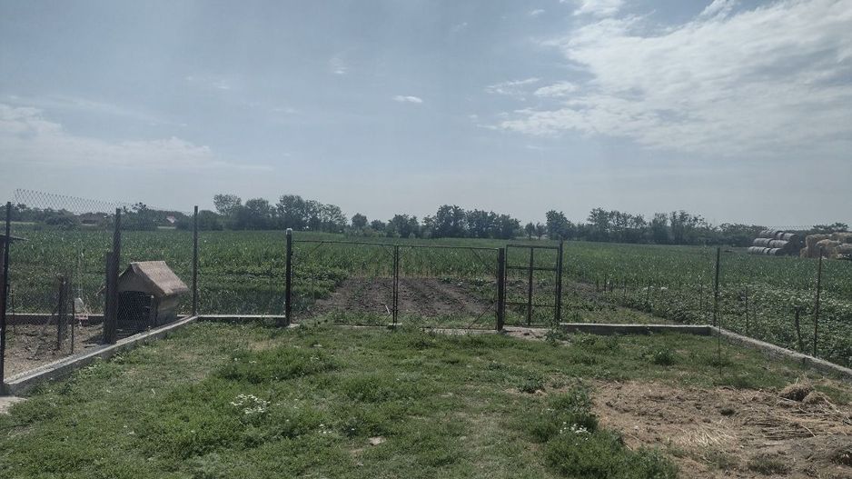 Vand urgent Casa (Boghis SM) sau schimb cu aprtament - Poză 4