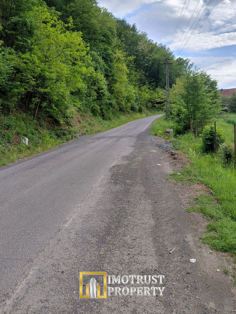 Teren cu acces la râu în Stejar – ideal pentru cabane sau retreat - Poză 3