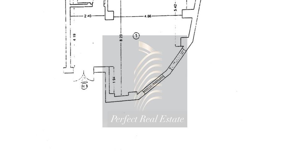 SPATIU COMERCIAL DEZDROBIRII DE VANZARE PARTER - Poză 1