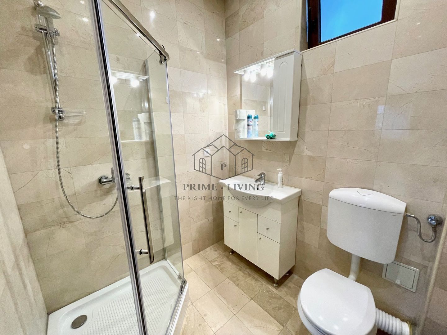 VILA CU 6 CAMERE LA INCHIRIERE IN ZONA PIPERA - Poză 6