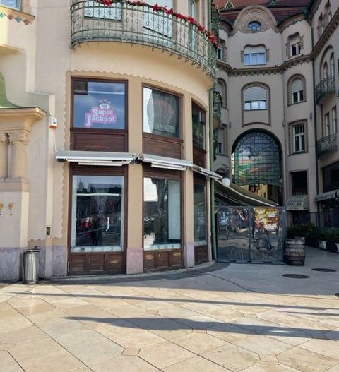 Chirie Ultra-central Oradea – spațiu HoReCa în Pasajul Vulturul Negru - Poză 6