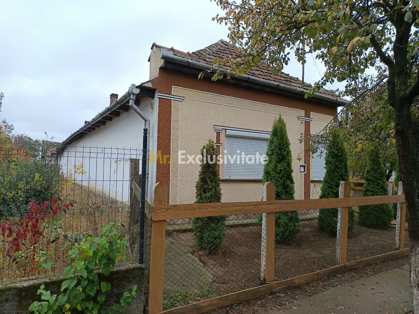 Casă tradițională cu teren de 4.400 mp în Vașad - Poză 4