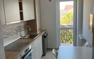 Apartament cu 1 cameră de închiriat în Valea Lupului - Poză 1