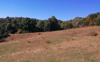 Teren Extravilan 20.000Mp I Stoenești -Vâlcea I Apă Curentă și Pădure - Poză 8