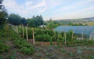 Teren intravilan de 1550 mp în localitatea Buznea, strada Corneliu Coposu - Poză 5
