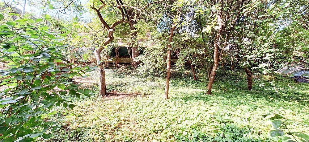 COMISION 0%. Drumul Poienii, apartament pe doua nivele, 163mp, 225000 euro. - Poză 28